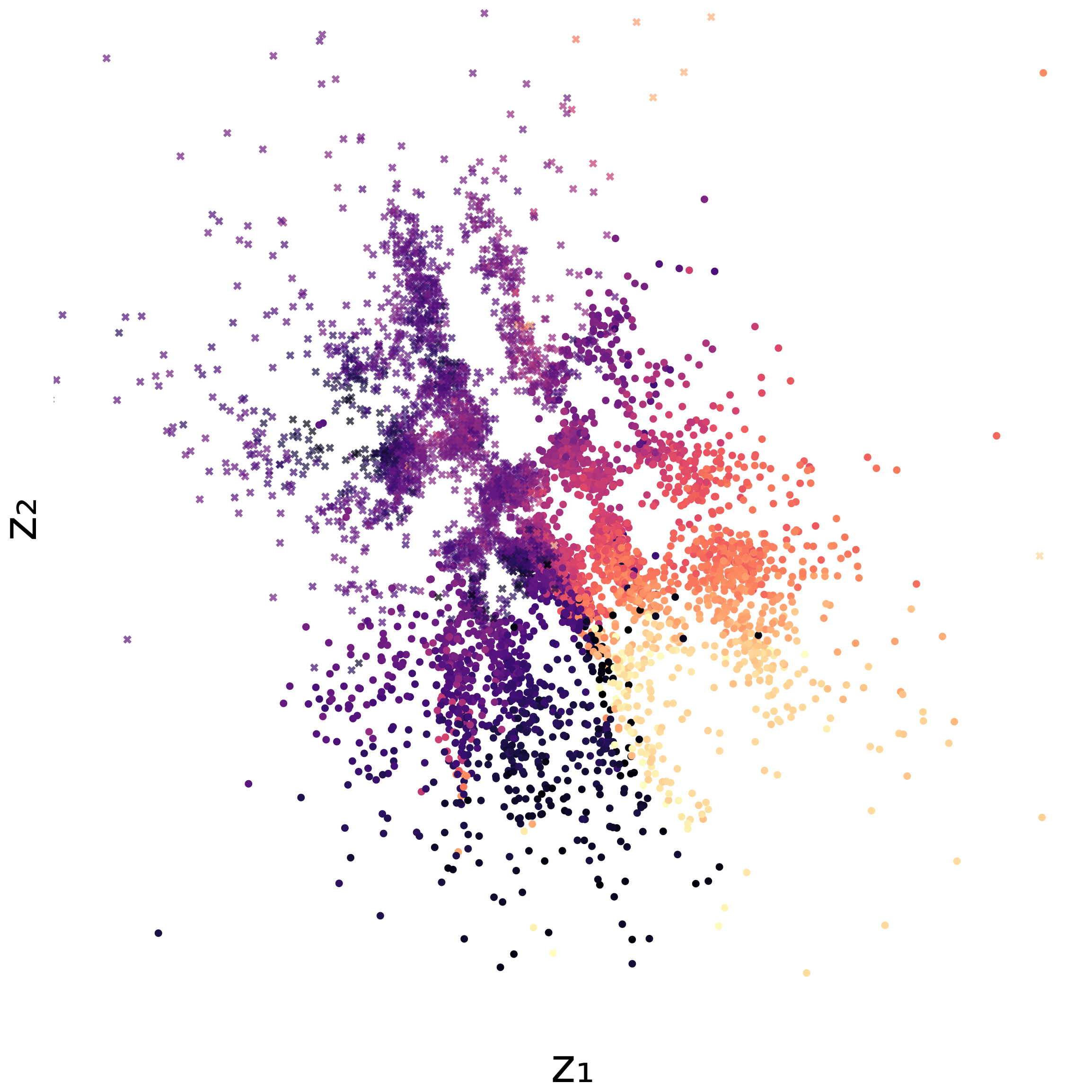 Euclidean cell cycle