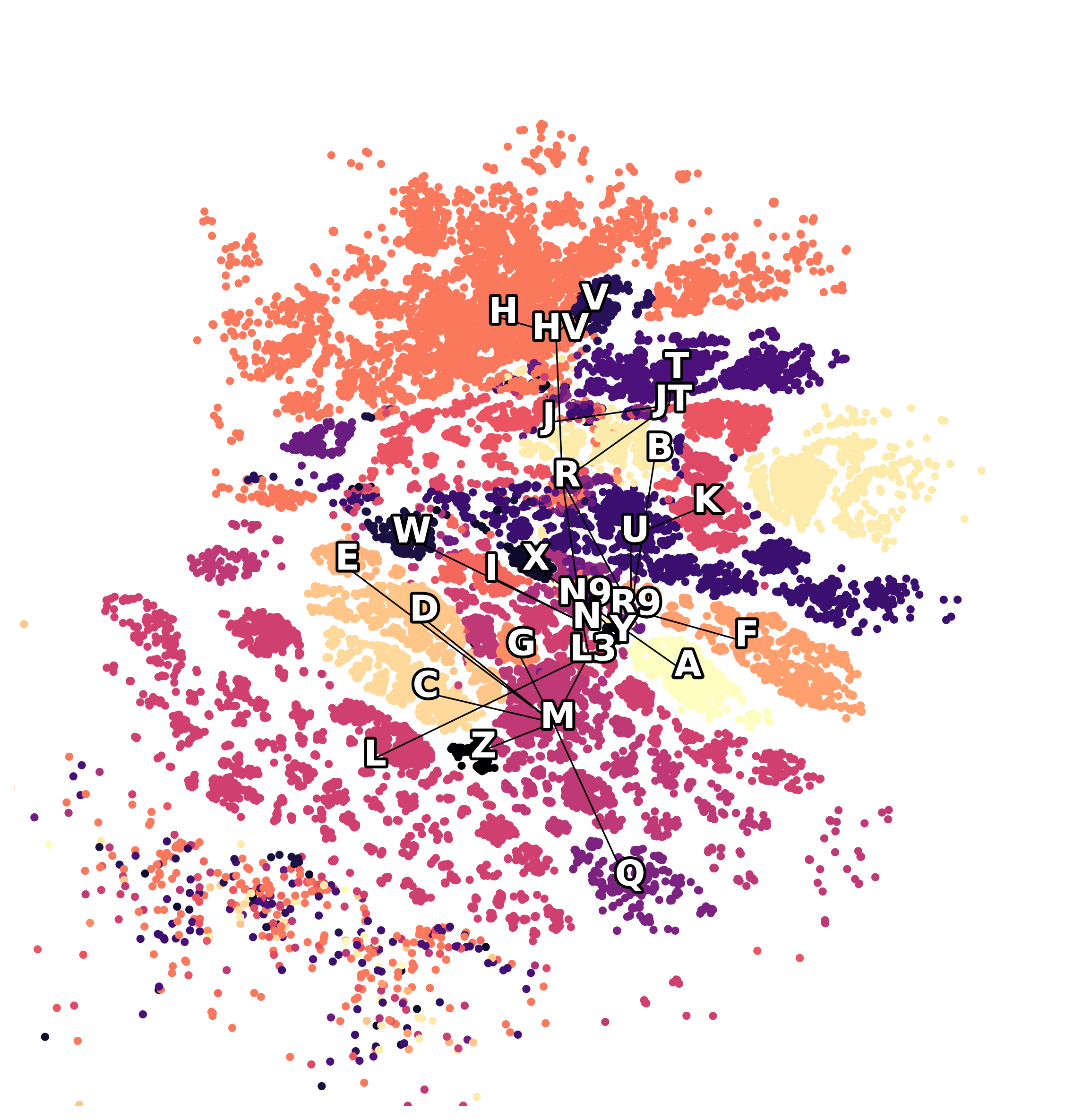 Euclidean latent space